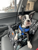 Pets Car Front Seat Booster