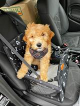 Pets Car Front Seat Booster