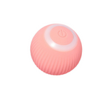 Interactive Cat & Puppies Toy Ball
